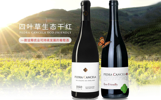 成都紅酒批發(fā)市場(chǎng)